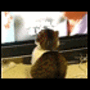 {login}
